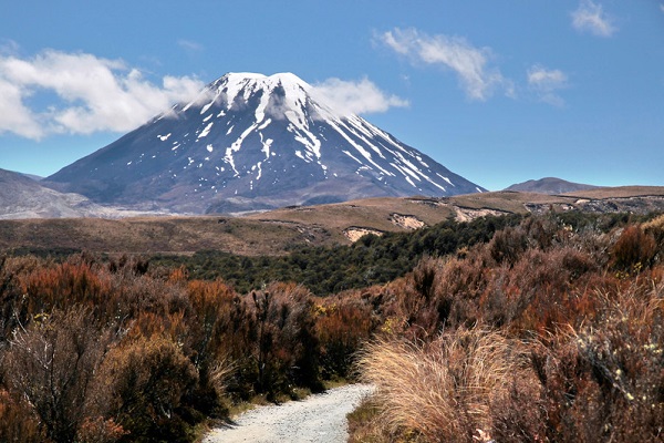 Car Hire In New Zealand For Under Car Hire In New Zealand For Under